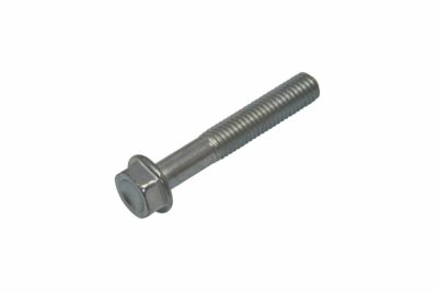 AKRAPOVIC BOLT MOUNTING SCREW